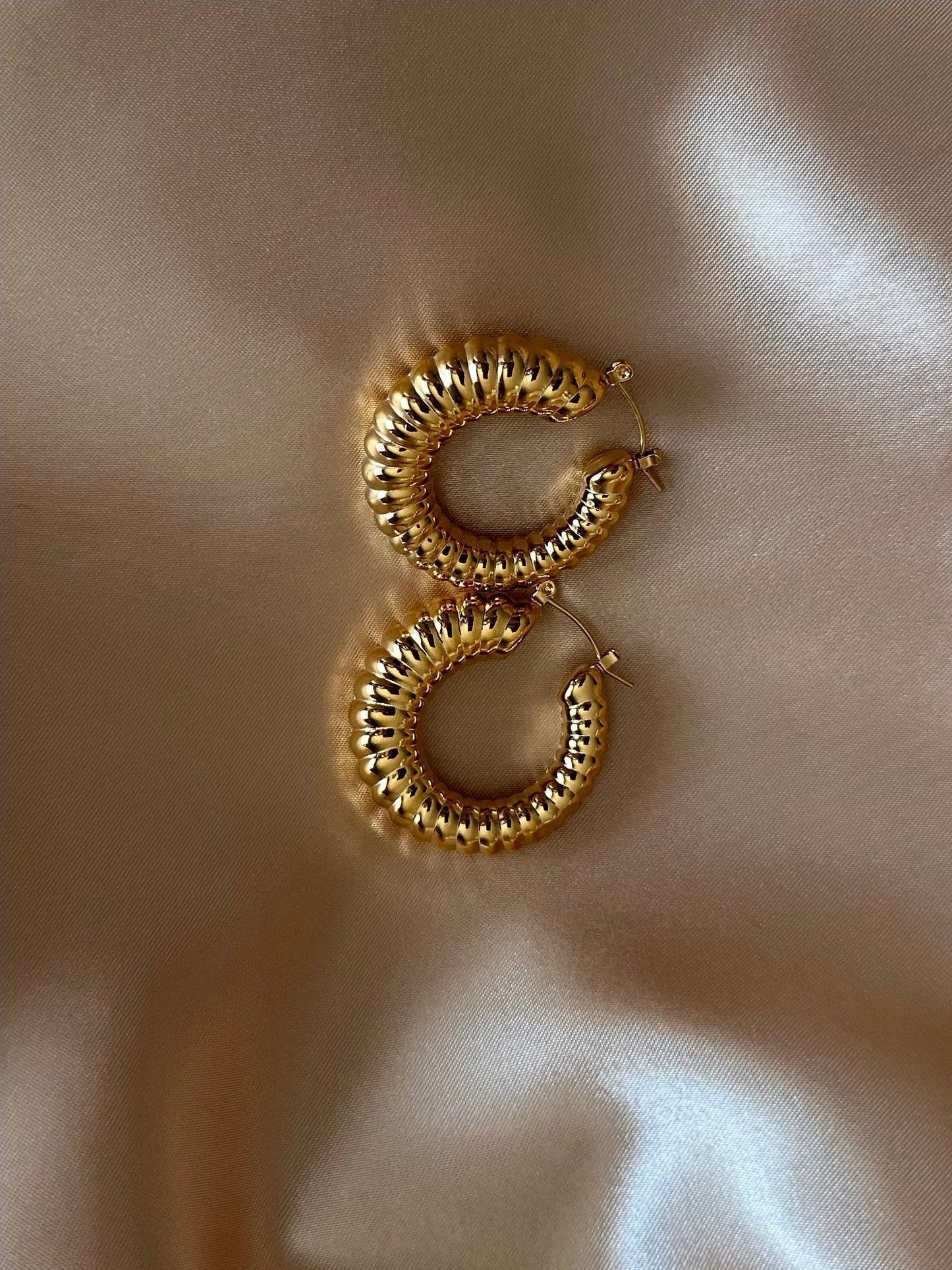 Sheyla Hoop Earrings