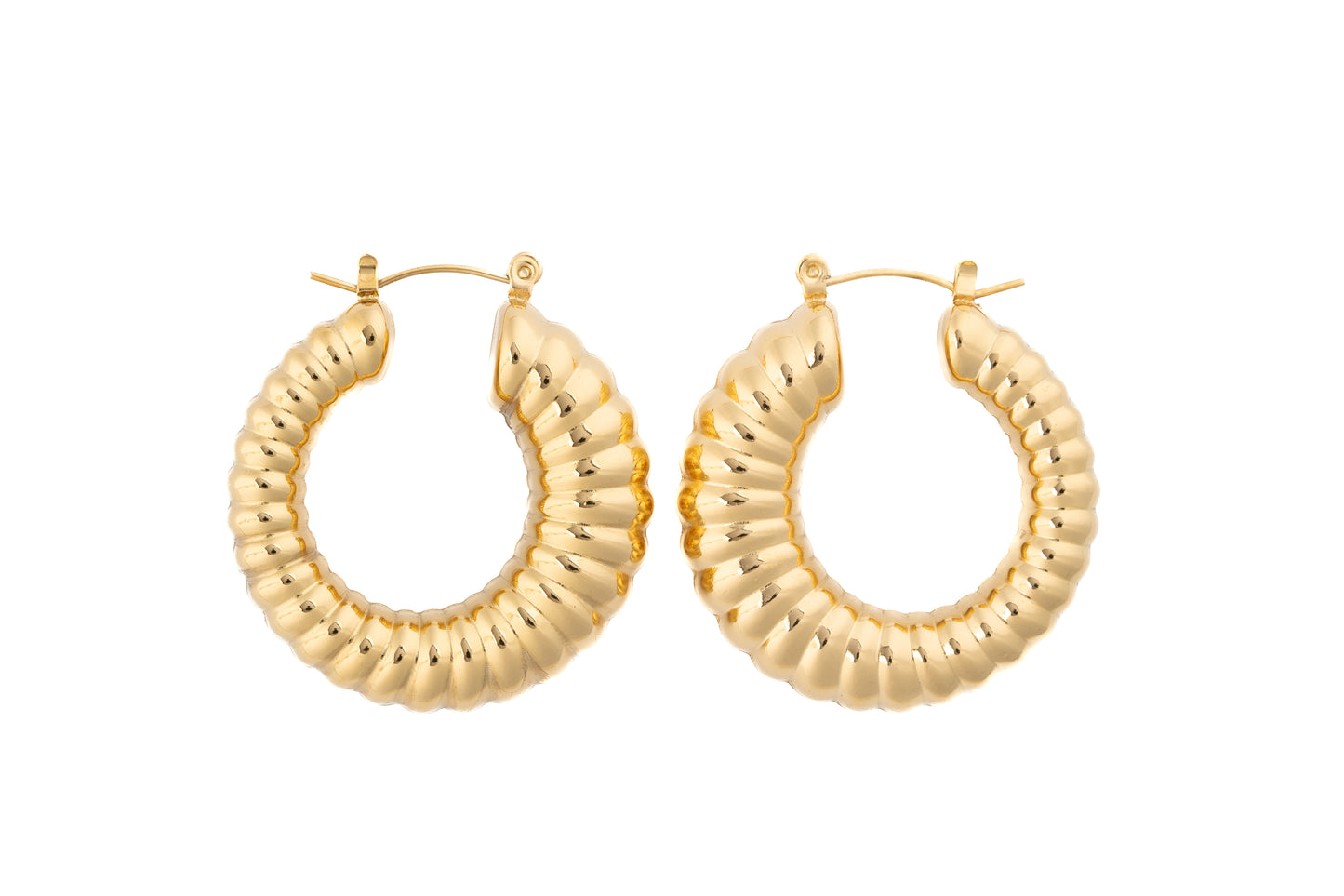 Sheyla Hoop Earrings