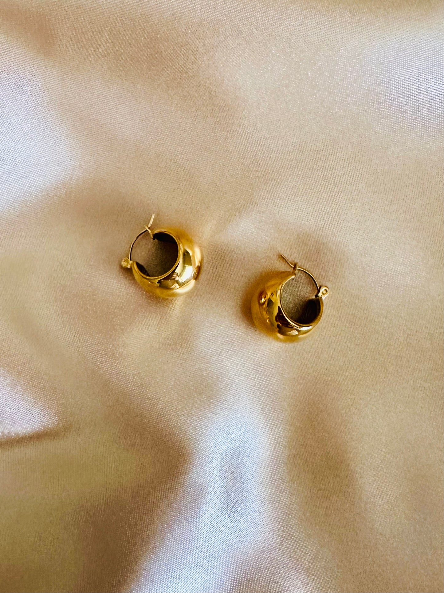 Cache Round Hoop Huggie Earring
