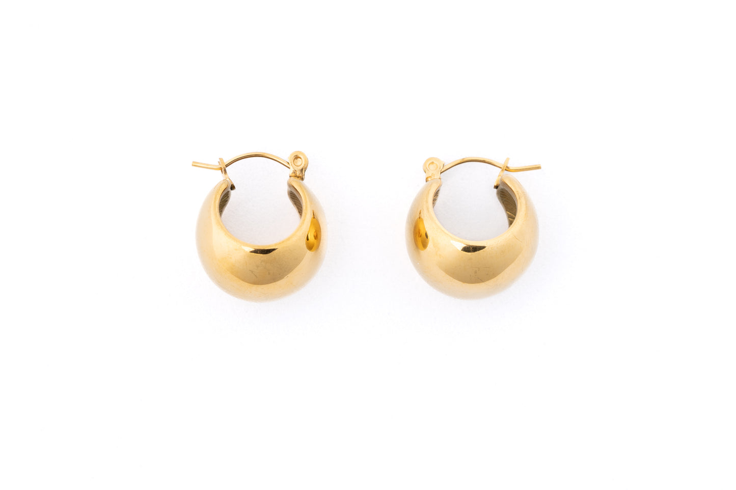 Cache Round Hoop Huggie Earring